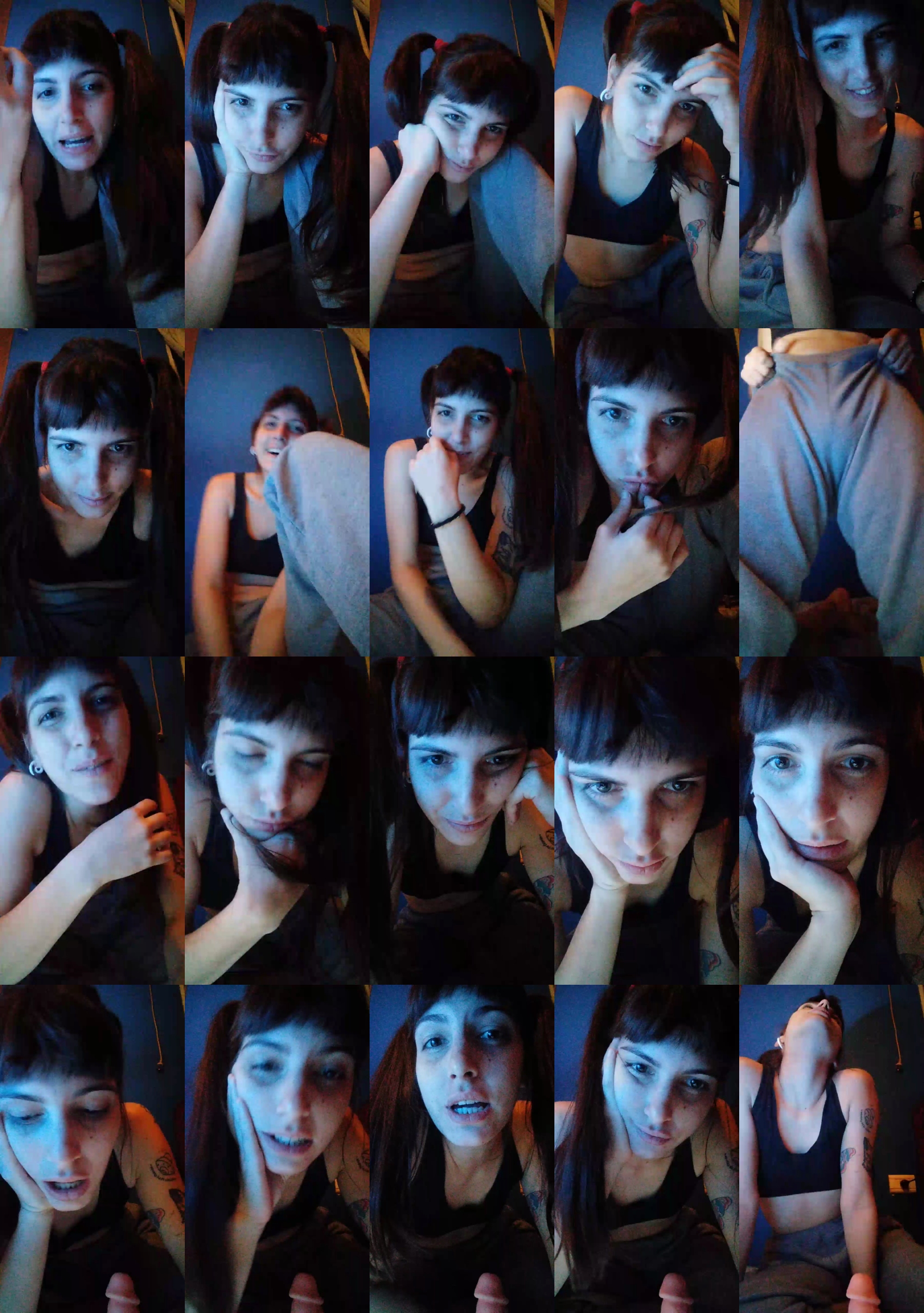 arlequinfun  17-04-2022